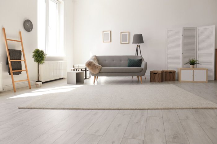 Flooring Trends, Modern Living Room Interior With New Floor.
