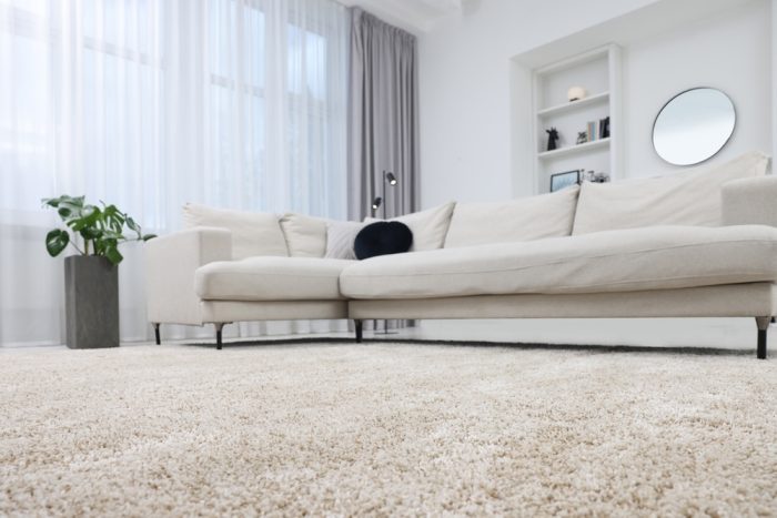 Carpet Flooring. Fluffy carpet and stylish furniture on floor indoors, low angle view.