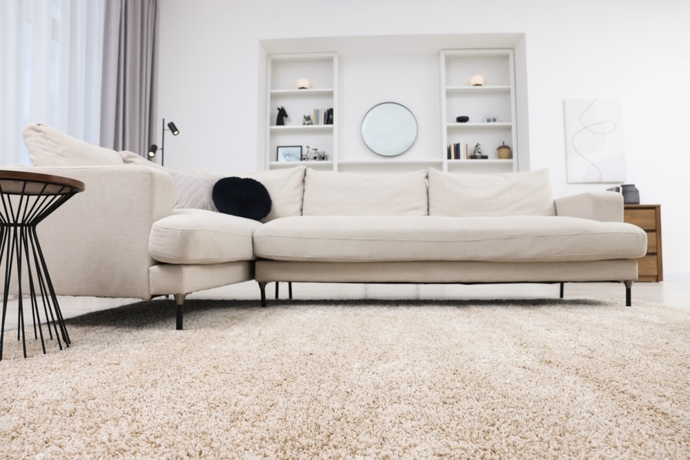 Carpet for Sound Absorption. Fluffy carpet and stylish furniture on floor indoors.