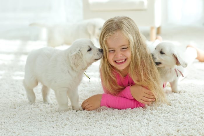 Carpet for Sound Absorption. Little girl lying on the mat with Labrador, smiling at camera at home in the living room.