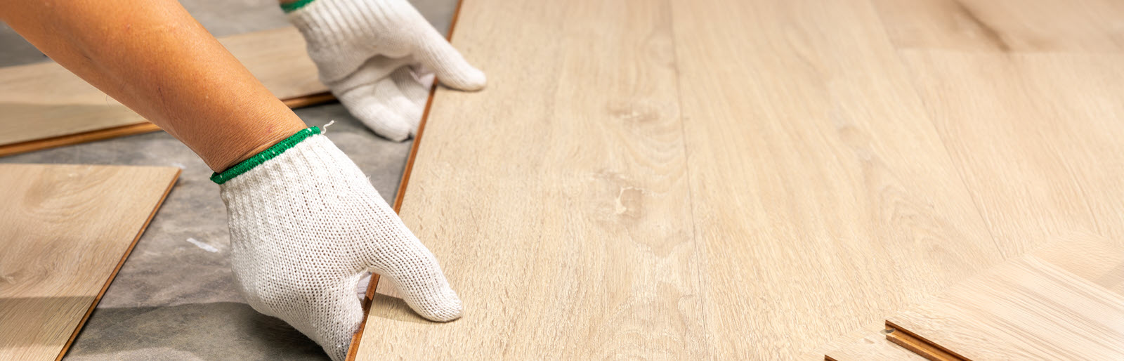 shutterstock_2477165063