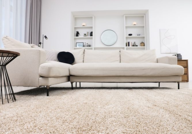 Carpet for Sound Absorption. Fluffy carpet and stylish furniture on floor indoors.